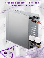Парогенератор Steamtec TOLO AIO 120 - 12 кВт