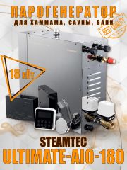 Парогенератор Steamtec TOLO AIO 180 - 18 кВт