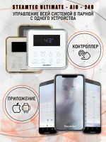 Парогенератор Steamtec TOLO AIO 240 - 24 кВт