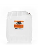 Бензин Галоша, 10 л, НХП, ТУ