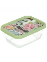 Контейнер пищевой пластик, 0.5 л, 13.8х10.6х5.6 см, зеленый, прямоугольный, Homver, Botanica, 222132018/08