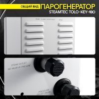 Парогенератор Steamtec TOLO KEY 180 - 18 кВт