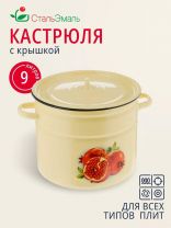 Кастрюля эмалированная сталь, 9 л, крышка сталь, СтальЭмаль, 1с200с, в ассортименте, индукция
