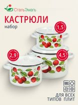 Набор посуды эмалированная сталь, 3 предмета, кастрюли 1.5, 2.9, 4.5 л, индукция, СтальЭмаль, Вишня ягоды, 1с33