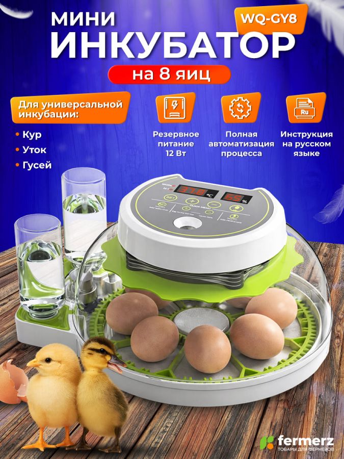 Инкубатор WQ-GY8 на 8 куриных яиц с автоматическим переворотом