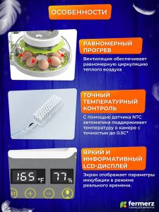 Инкубатор WQ-GY8 на 8 куриных яиц с автоматическим переворотом