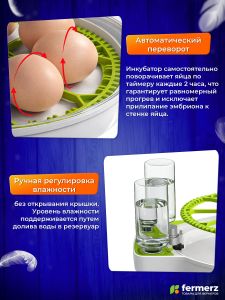 Инкубатор WQ-GY8 на 8 куриных яиц с автоматическим переворотом