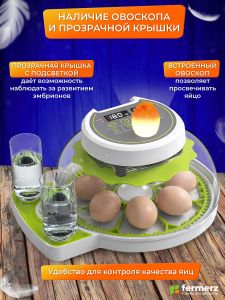 Инкубатор WQ-GY8 на 8 куриных яиц с автоматическим переворотом