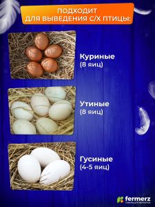 Инкубатор WQ-GY8 на 8 куриных яиц с автоматическим переворотом