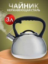 Чайник нержавеющая сталь, 3 л, со свистком, зеркальный, ручка пластиковая, Alpenkok, индукция, AK-516