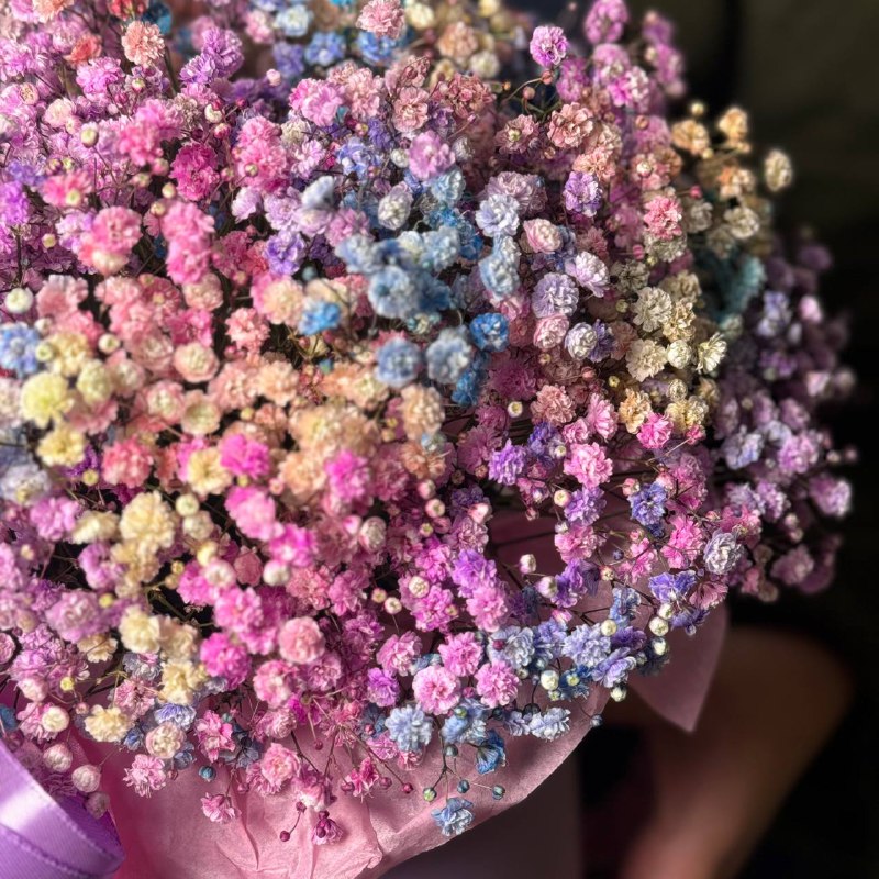 Радужная гипсофила в коробке L