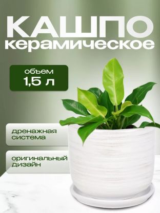 Горшок керамика, 1.5 л, 15х15.5 см, белый, Галактика №3, 008799