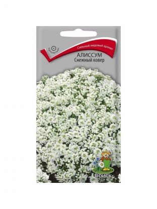 Семена Цветы, Алиссум, Снежный ковёр, 0.3 г, цветная упаковка, Поиск