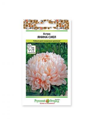 Семена Цветы, Астра, Янина Сиел, 0.3 г, цветная упаковка, Русский огород