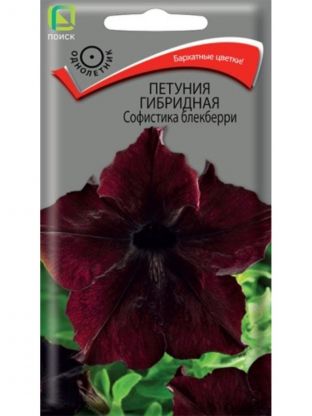 Семена Цветы, Петуния, Софистика гибридная (блекберри), цветная упаковка, Поиск