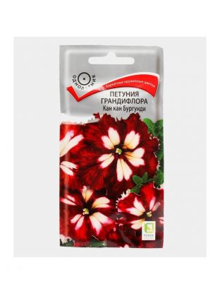 Семена Цветы, Петуния, Грандифлора Кан кан бургунди, цветная упаковка, Поиск