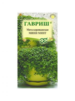 Семена Мята, Мини Минт, Цветочная коллекция, корсиканская, гранулы, цветная упаковка, Гавриш