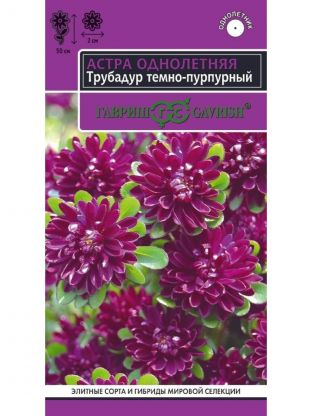 Семена Цветы, Астра, Трубадур, 0.05 г, Эксклюзив Н22, темно-пурпурные, цветная упаковка, Гавриш