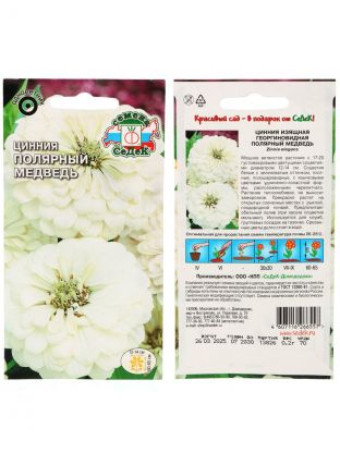 Семена Цветы, Цинния, Полярный Медведь, георгиновидная белая, цветная упаковка, Седек