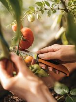 Нож садовый Solid K80 X-series, сталь, 178 мм, складной, 1062819