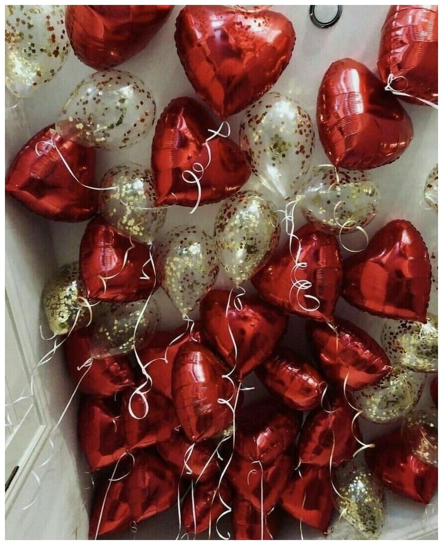 14 февраля №54