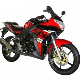 RACER SKYWAY RC300CS