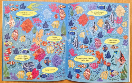 Океаны - найди и покажи