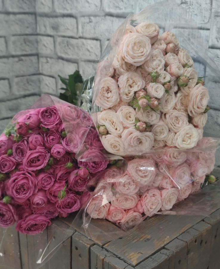 Роскошные пионовидные кустовые розы