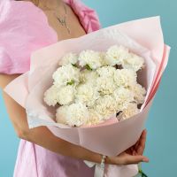 Белые диантусы