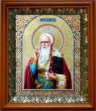 Икона Амвросий Медиоланский в киоте с басмой Виноградная Лоза (UV-печать)(30052)