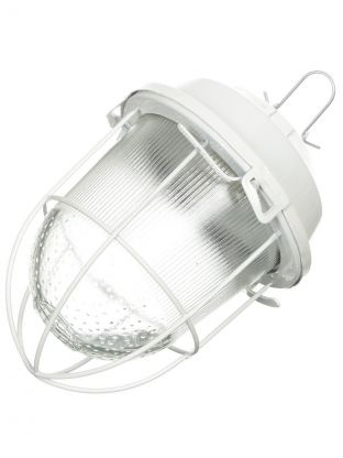 Светильник TDM Electric, НСП 02-100-002.01 У2, 100 Вт, E27, на 1 лампочку, IP52, 17.2х17.2х24.6 см, с решеткой, стекло, крюк, белый, SQ0310-0002