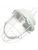 Светильник TDM Electric, НСП 02-100-002.01 У2, 100 Вт, E27, на 1 лампочку, IP52, 17.2х17.2х24.6 см, с решеткой, стекло, крюк, белый, SQ0310-0002