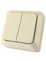 Выключатель открытой установки, двухклавишный, без заземления, 10 А, IP20, слоновая кость, TDM Electric, Ладога, SQ1801-0004
