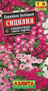 Барвинок Сицилия, смесь (Аэлита)
