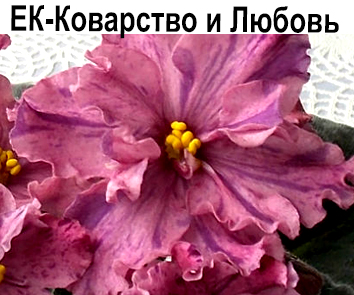 ЕК-Коварство и Любовь (Коршунова)  НОВИНКА КАТАЛОГА