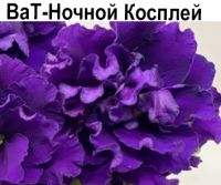 ВаТ-Ночной Косплей (Валькова)  НОВИНКА КАТАЛОГА