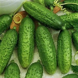 Огурец МОРАВСКИЙ КОРНИШОН F1, 250 семян
