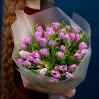Тюльпаны нежно-розовые 35шт