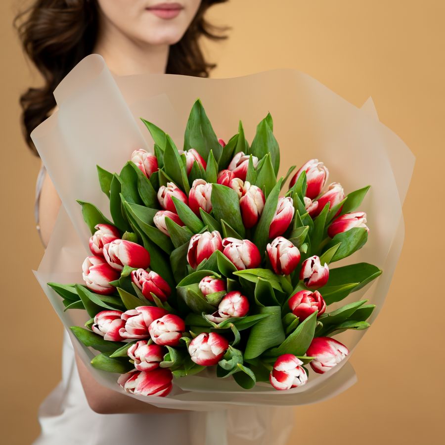 Тюльпаны красно-белые 35шт