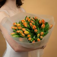 Тюльпаны оранжевые 35шт