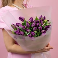 Тюльпаны фиолетовые 35шт