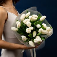 Тюльпаны белые 25шт