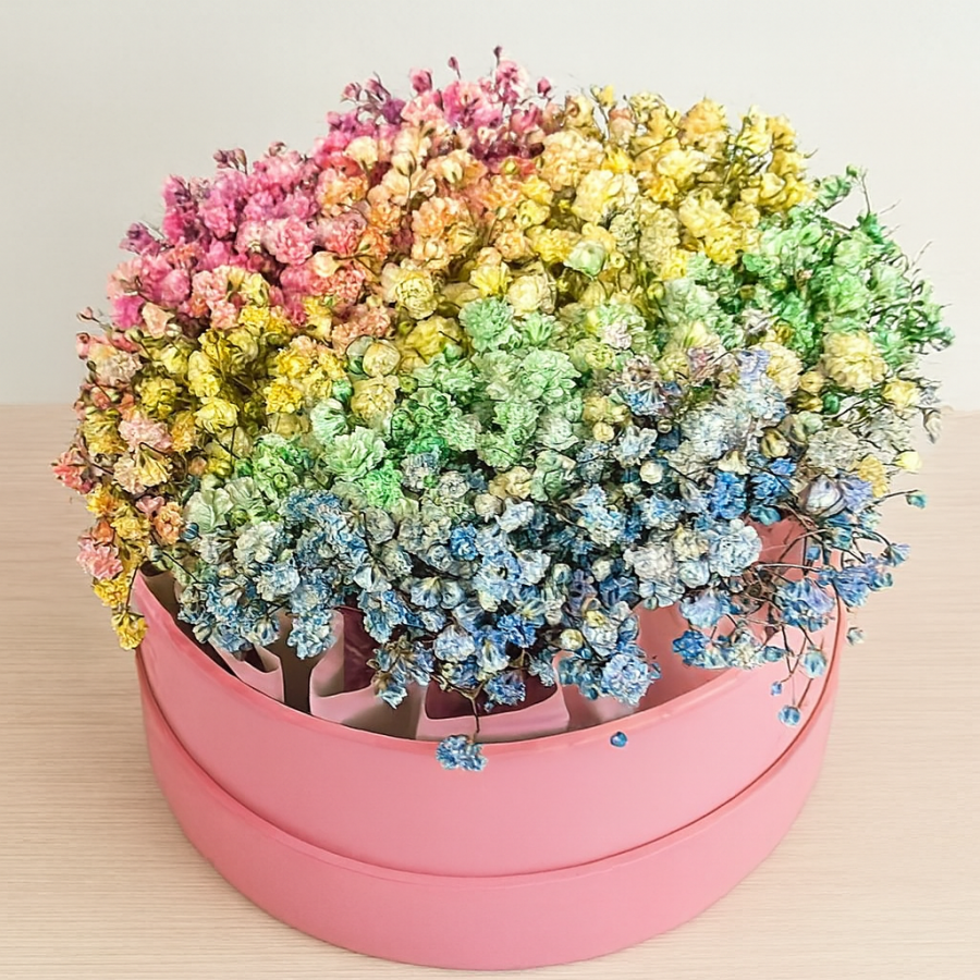 Гипсофила Микс в коробке