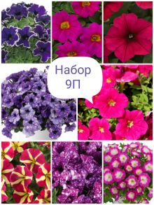 Набор 9П (петуния)