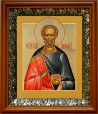 Икона Диомид в киоте с басмой Виноградная Лоза (UV-печать)(30319)