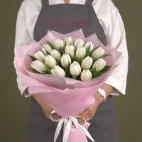 Тюльпаны белые в упаковке (от 11 шт)