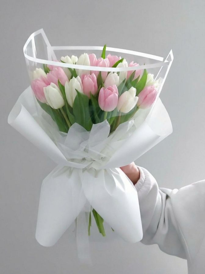 Нежный тюльпан