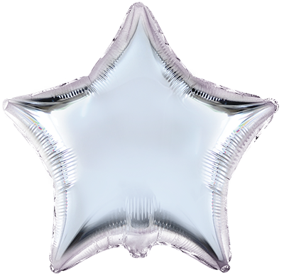 Звезда серебро 79