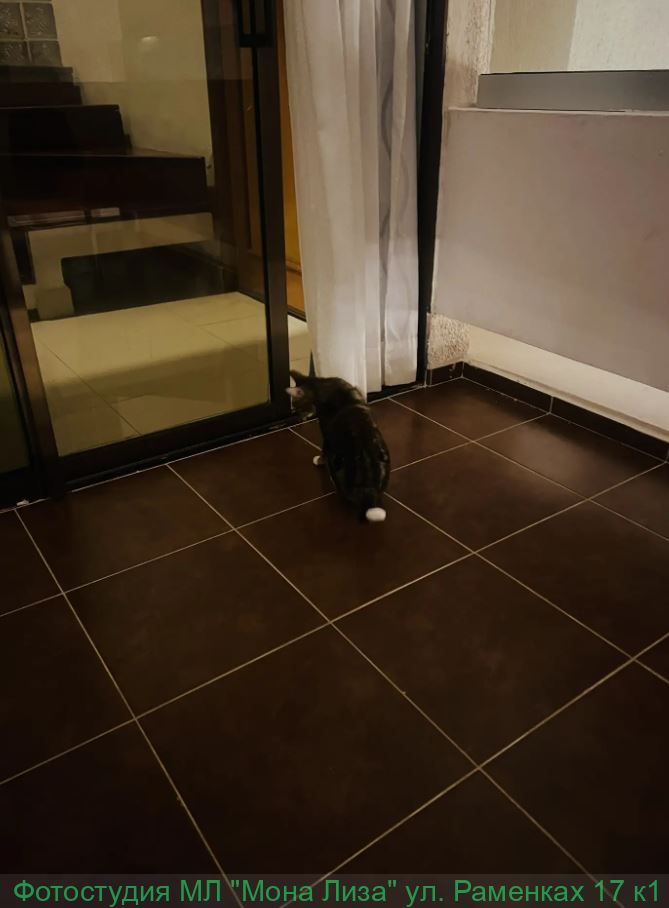 Отель, номер и территория отеля Лас Америкас