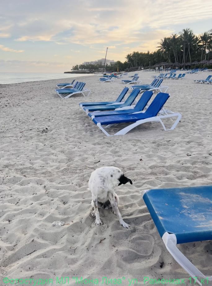 Отель, номер и территория отеля Лас Америкас